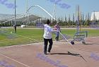 AMEA_b_010