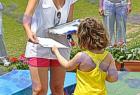 AMEA_b_256