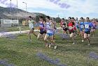 2009cross_137