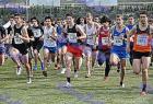 2009cross_201