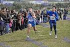 2009cross_222