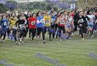 2009cross_245