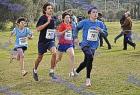 2009cross_303