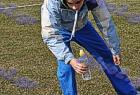 2009cross_364