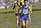 2009cross_434