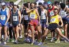 2009cross_487