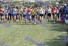 2009cross_492