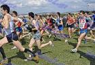 2009cross_498
