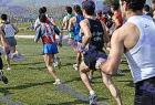 2009cross_499