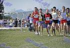 2009cross_501