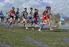 2009cross_506