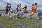 2009cross_508