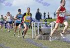 2009cross_517