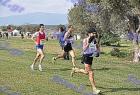 2009cross_578