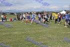 2009cross_638