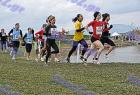2009cross_650