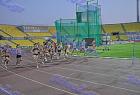 A_tel_0685