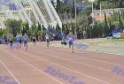 relays_114