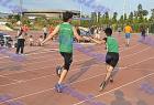 relays_278