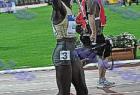 WAF2009A_518