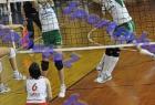 PAO-Maribor_121
