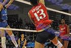 allstar_313