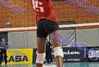 allstar_440