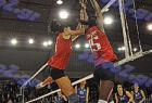 allstar_481