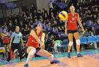allstar_492