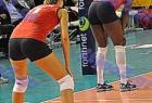 allstar_529