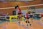 allstar_534