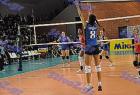 allstar_546