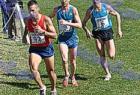 cross_1362