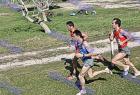 cross_1369