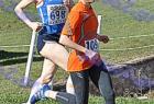 cross_1477