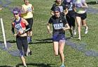 cross_1494