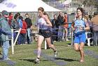 cross_1544