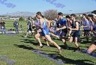 cross_0328