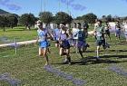 cross_0335