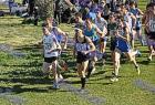 cross_0356