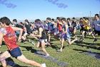 cross_0499