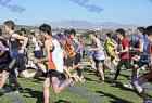 cross_0503