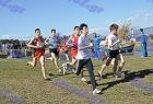 cross_0566