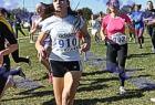cross_0671