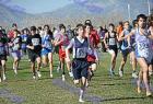 cross_0754