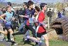cross_0756