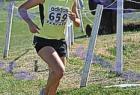 cross_0909