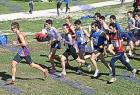 cross_1028