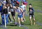 cross_1033