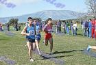 cross_1044